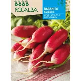 Compra RABANITO MEDIO LARGO ROJO PUNTA BLANCA (100 gr.). en la tienda online Fito Agrícola