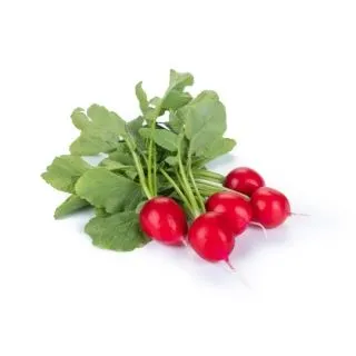 Compra RABANITO MILLOM RZ F1 Precisión (25.000 Semillas). en la tienda online Fito Agrícola