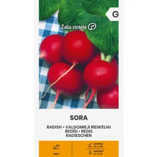 Compra RABANITO SORA (3 gr. - Cerca de 225 Semillas). en la tienda online Fito Agrícola