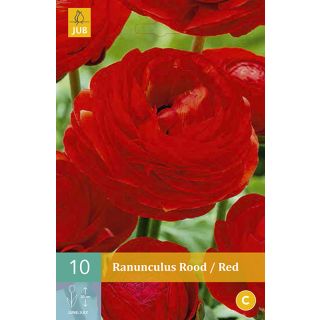 Compra RANÚNCULOS ROJOS en la tienda online Fito Agrícola