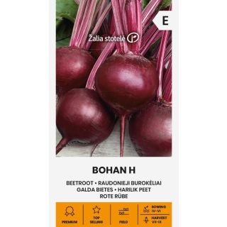 Compra REMOLACHA BOHAN F1 (3 gr. - Cerca de 150 Semillas). en la tienda online Fito Agrícola