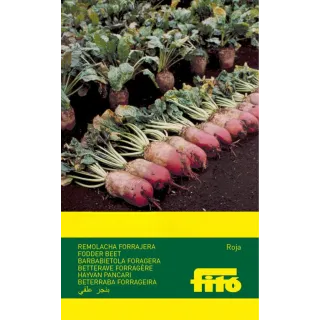Compra REMOLACHA FORRAJERA ROJA ECKENDORF (500 gr.). en la tienda online Fito Agrícola