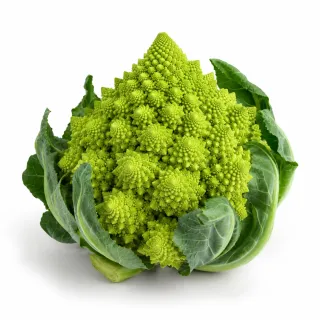Compra ROMANESCO DECUMANO F1 Peliculado (2.500 Semillas). en la tienda online Fito Agrícola