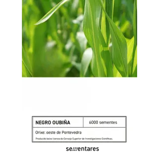 Compra MAÍZ NEGRO DE OUBIÑA (1 Kgr. - Cerca de 2.500 Semillas) en la tienda online Fito Agrícola