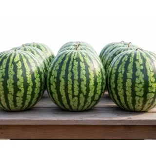 Compra SANDÍA DURLINDA F1 (1.000 Semillas). en la tienda online Fito Agrícola