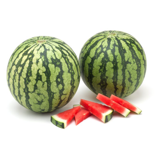 Compra SANDÍA OCELOT F1 (1000 Semillas). en la tienda online Fito Agrícola