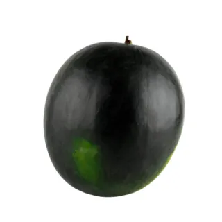 Compra SANDÍA TENTACIÓN F1 (1.000 Semillas) en la tienda online Fito Agrícola