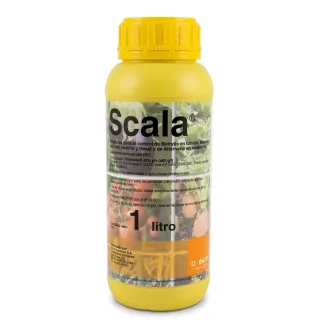 Compra SCALA (1 l.). en la tienda online Fito Agrícola
