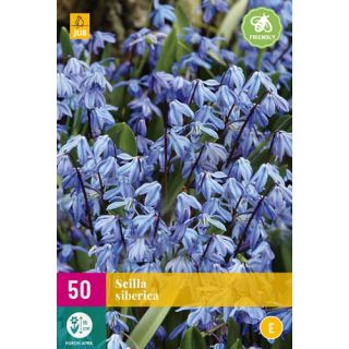 Compra SCILLA SIBERICA XXL en la tienda online Fito Agrícola