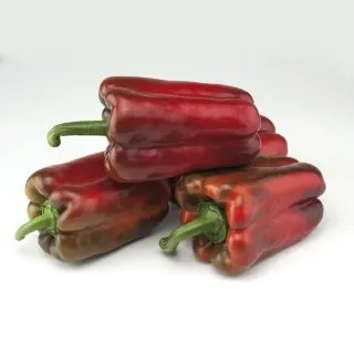 Compra PIMIENTO SV5581PH F1 (1.000 Semillas). en la tienda online Fito Agrícola