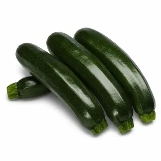 Compra CALABACÍN SINATRA F-1 (1.000 Semillas) en la tienda online Fito Agrícola