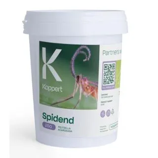 Compra SPIDEND 250 (Cubo 550 c.c.) en la tienda online Fito Agrícola
