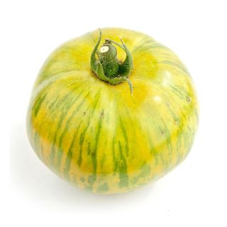 Compra TOMATE CEBRA M11 en la tienda online Fito Agrícola