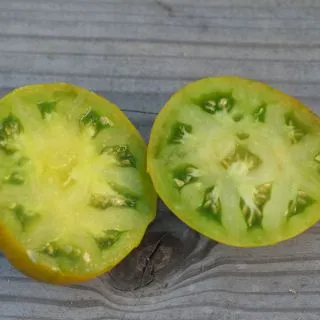 Compra TOMATE GREEN MOLDOVAN AB (50 Semillas). en la tienda online Fito Agrícola