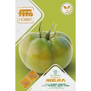 Compra TOMATE MERLIN F1 (70 Semillas). en la tienda online Fito Agrícola