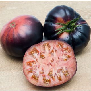 Compra TOMATE MARMANDE AZUL M11 en la tienda online Fito Agrícola