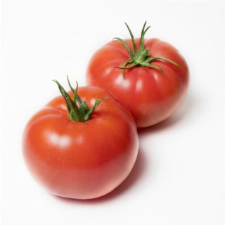 Compra TOMATE ROSA BEEF M11 en la tienda online Fito Agrícola