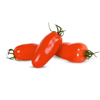 Compra TOMATE TXP 2058 F1 (1.000 Semillas). en la tienda online Fito Agrícola