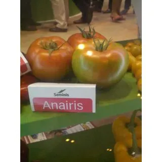 Compra TOMATE ANAIRIS F1 Pildorado (5.000 Semillas) en la tienda online Fito Agrícola
