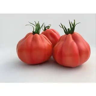 Compra TOMATE BARAIRO F1 (500 Semillas). en la tienda online Fito Agrícola