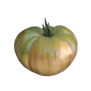 Compra TOMATE BELMONTE (1000 Semillas). en la tienda online Fito Agrícola
