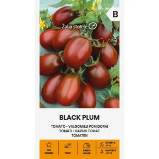 Compra TOMATE BLACK PLUM (0,1 gr. - Cerca de 25 Semillas). en la tienda online Fito Agrícola