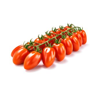 Compra TOMATE BRIXI F1 (1000 Semillas). en la tienda online Fito Agrícola