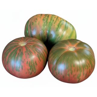 Compra TOMATE CHEROKEE M11 en la tienda online Fito Agrícola