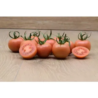 Compra TOMATE COLGATOM F-1 (500 Semillas) en la tienda online Fito Agrícola