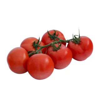 Compra TOMATE CONTYGO F1 (1000 Semillas). en la tienda online Fito Agrícola