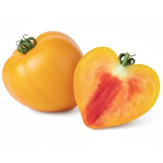 Compra TOMATE CORAZÓN BICOLOR MS6 en la tienda online Fito Agrícola