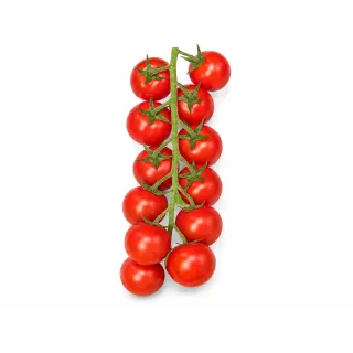 Compra TOMATE DELYCCHO F1 (1000 Semillas) en la tienda online Fito Agrícola
