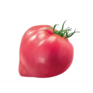 Compra TOMATE DOLCECUORE F1 (1000 Semillas). en la tienda online Fito Agrícola
