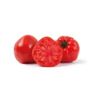 Compra TOMATE DR7024TS F1 (1.000 Semillas) en la tienda online Fito Agrícola