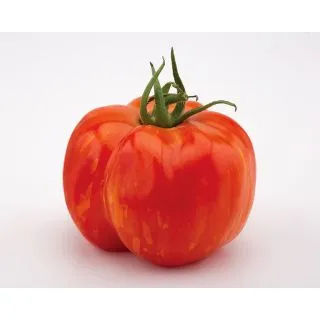 Compra TOMATE EASY TOM STRIPED F1 (1.000 Semillas). en la tienda online Fito Agrícola
