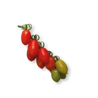 Compra TOMATE FIESTA F1 (1.000 Semillas) en la tienda online Fito Agrícola