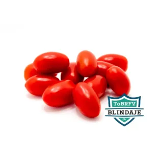 Compra TOMATE GAVILAN (1000 Semillas) en la tienda online Fito Agrícola