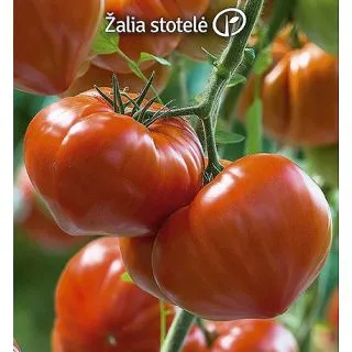 Compra TOMATE GOURMANDIA F1 (1000 Semillas). en la tienda online Fito Agrícola