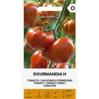 Compra TOMATE GOURMANDIA F1 (7 Semillas). en la tienda online Fito Agrícola