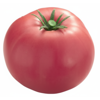 Compra TOMATE HONEY MOON F1 MS6 en la tienda online Fito Agrícola