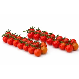 Compra TOMATE INTUITIVO F1 (1000 Semillas). en la tienda online Fito Agrícola