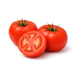 Compra TOMATE KANDESSA F1 EPS150 en la tienda online Fito Agrícola