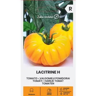 Compra TOMATE LACITRINE F1 (5 Semillas). en la tienda online Fito Agrícola