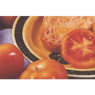 Compra TOMATE DE COLGAR M11 en la tienda online Fito Agrícola