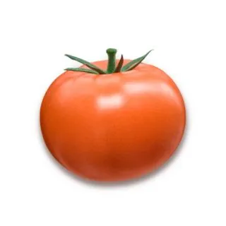 Compra TOMATE NOVERO F-1 (1.000 Semillas) en la tienda online Fito Agrícola