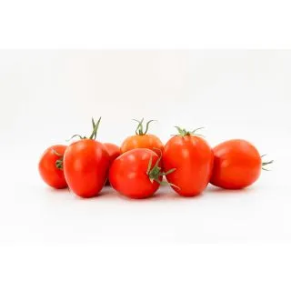 Compra TOMATE OPLOT F-1 (1.000 Semillas) en la tienda online Fito Agrícola