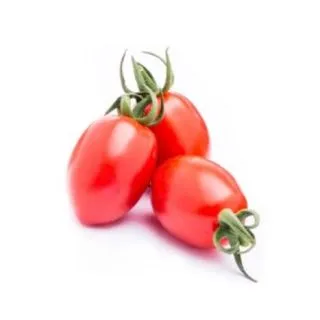 Compra TOMATE PIPPA DS-2116 F1 (1.000 Semillas) en la tienda online Fito Agrícola