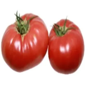 Compra TOMATE AVOA DE OSEDO (1000 Semillas). en la tienda online Fito Agrícola