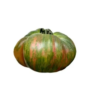 Compra TOMATE ROZALI F1 (1.000 Semillas) en la tienda online Fito Agrícola