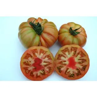Compra TOMATE ROZAMAX F-1 (1.000 Semillas) en la tienda online Fito Agrícola
